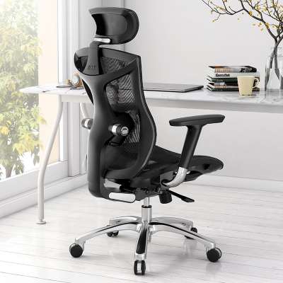 Office Chair Ergonomic Support With Advanced Design BIFMA certificate